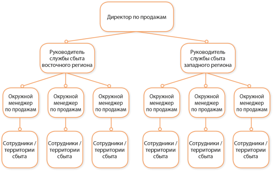 Пример структуры отдела продаж — разделение по целевой аудитории